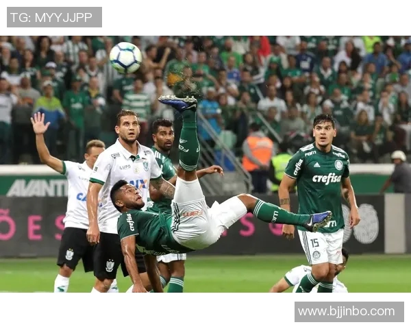 帕梅拉斯与巴西国际2019年精彩对决回顾与分析